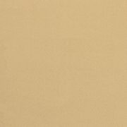 CERESIT CT60 VISAGE 0,5mm 25kg Dominicana Beige