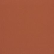 CERESIT CT60 VISAGE 0,5mm 25kg Ravenna red