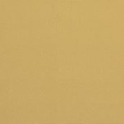 CERESIT CT60 VISAGE 0,5mm 25kg Sicilia yellow