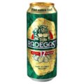 Pivo Radegast 12° 0,5l